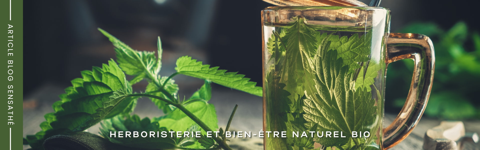 Tisane drainante et diurétique - Herboristerie Sensathé Tisane drainante et diurétique - Herboristerie Sensathé